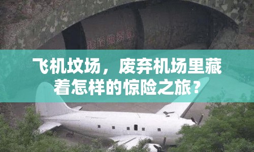 飛機(jī)墳場(chǎng)，廢棄機(jī)場(chǎng)里藏著怎樣的驚險(xiǎn)之旅？