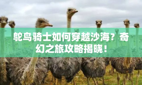 鴕鳥騎士如何穿越沙海？奇幻之旅攻略揭曉！