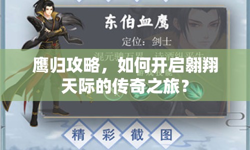 鷹歸攻略，如何開啟翱翔天際的傳奇之旅？