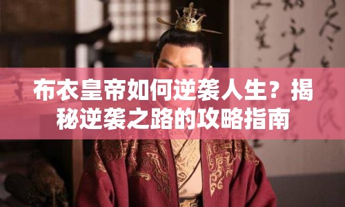 布衣皇帝如何逆襲人生？揭秘逆襲之路的攻略指南