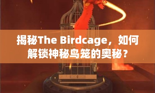 揭秘The Birdcage，如何解鎖神秘鳥籠的奧秘？