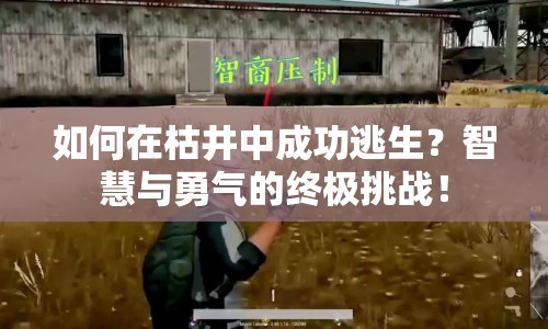 如何在枯井中成功逃生？智慧與勇氣的終極挑戰(zhàn)！
