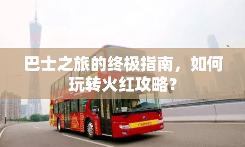 巴士之旅的終極指南，如何玩轉(zhuǎn)火紅攻略？