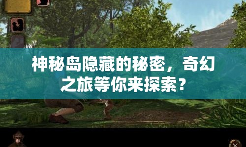 神秘島隱藏的秘密，奇幻之旅等你來(lái)探索？