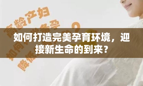 如何打造完美孕育環(huán)境，迎接新生命的到來(lái)？