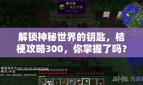解鎖神秘世界的鑰匙，桔梗攻略300，你掌握了嗎？