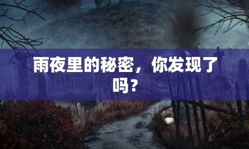 雨夜里的秘密，你發(fā)現(xiàn)了嗎？
