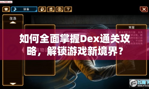 如何全面掌握Dex通關(guān)攻略，解鎖游戲新境界？