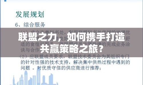 聯(lián)盟之力，如何攜手打造共贏策略之旅？