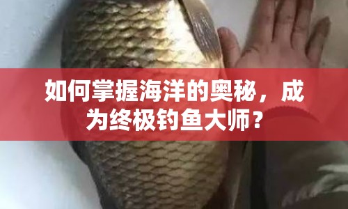 如何掌握海洋的奧秘，成為終極釣魚大師？