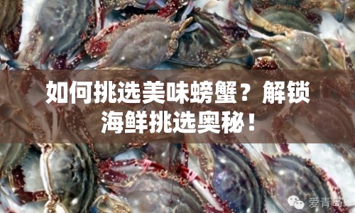 如何挑選美味螃蟹？解鎖海鮮挑選奧秘！