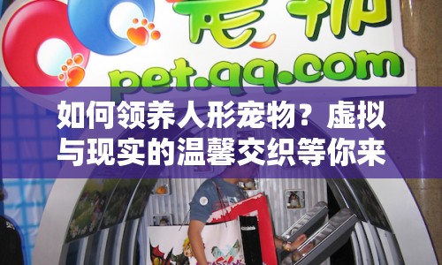 如何領(lǐng)養(yǎng)人形寵物？虛擬與現(xiàn)實(shí)的溫馨交織等你來(lái)探索！