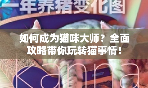 如何成為貓咪大師？全面攻略帶你玩轉(zhuǎn)貓事情！