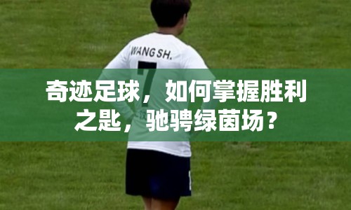 奇跡足球，如何掌握勝利之匙，馳騁綠茵場？