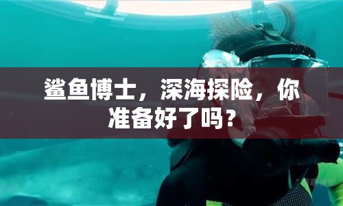 鯊魚博士，深海探險，你準備好了嗎？