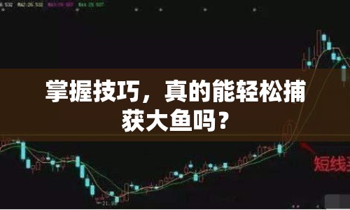 掌握技巧，真的能輕松捕獲大魚嗎？