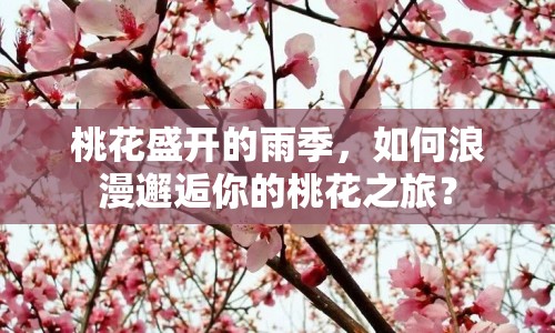 桃花盛開的雨季，如何浪漫邂逅你的桃花之旅？