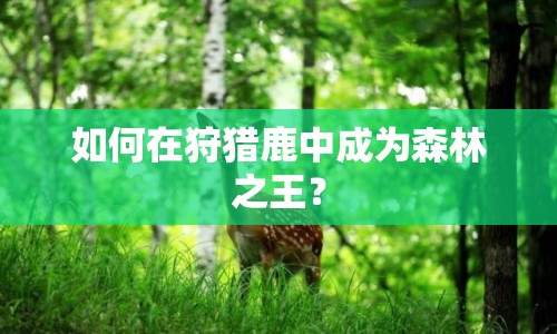 如何在狩獵鹿中成為森林之王？