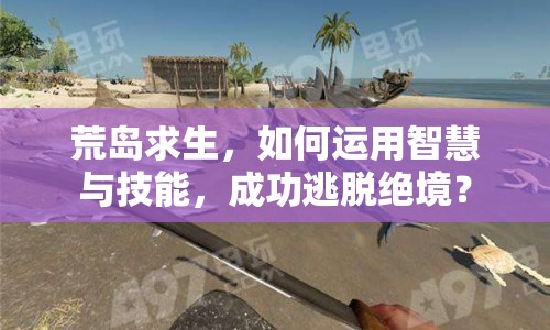 荒島求生，如何運(yùn)用智慧與技能，成功逃脫絕境？