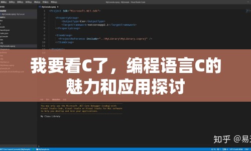 我要看C了，編程語言C的魅力和應(yīng)用探討