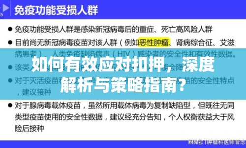 如何有效應(yīng)對扣押，深度解析與策略指南？