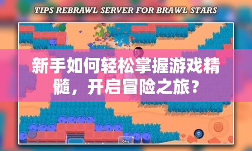 新手如何輕松掌握游戲精髓，開(kāi)啟冒險(xiǎn)之旅？