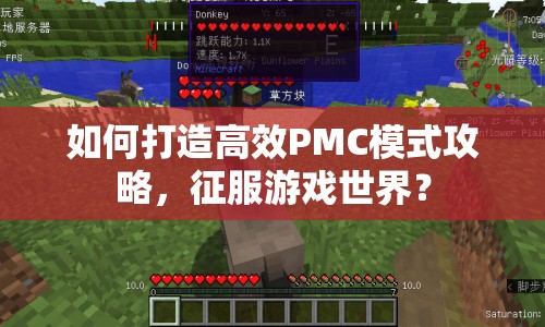 如何打造高效PMC模式攻略，征服游戲世界？