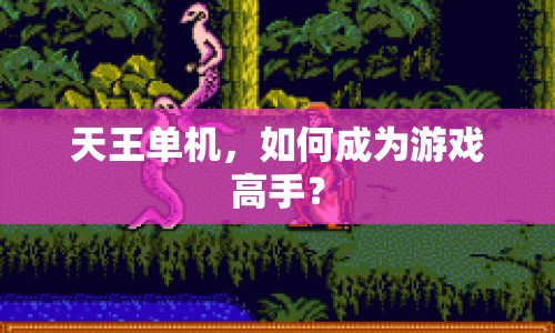 天王單機(jī)，如何成為游戲高手？