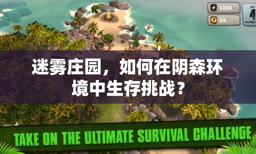 迷霧莊園，如何在陰森環(huán)境中生存挑戰(zhàn)？