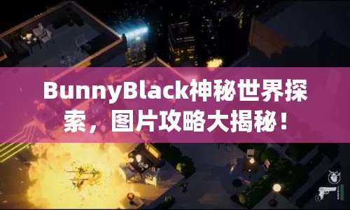 BunnyBlack神秘世界探索，圖片攻略大揭秘！