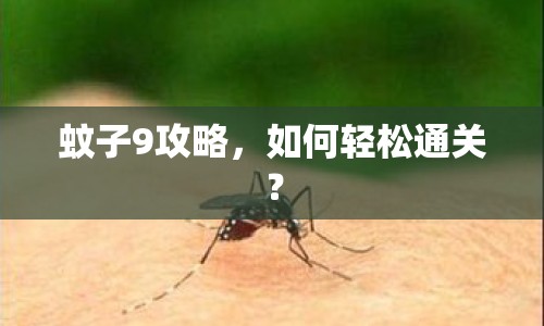 蚊子9攻略，如何輕松通關(guān)？