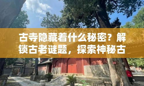 古寺隱藏著什么秘密？解鎖古老謎題，探索神秘古寺任務攻略！