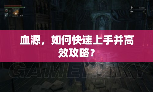 血源，如何快速上手并高效攻略？
