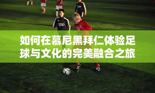 如何在慕尼黑拜仁體驗足球與文化的完美融合之旅？