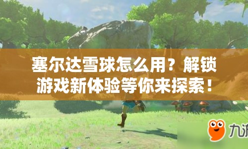 塞爾達雪球怎么用？解鎖游戲新體驗等你來探索！