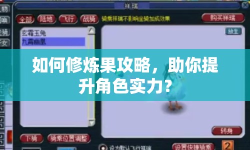 如何修煉果攻略，助你提升角色實(shí)力？