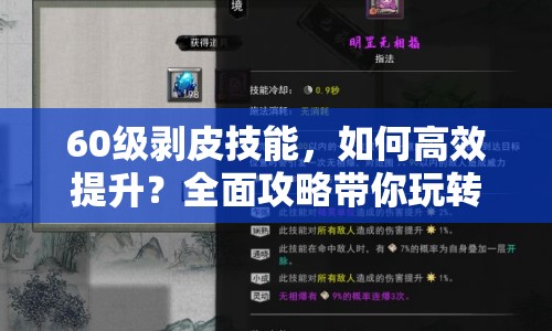 60級(jí)剝皮技能，如何高效提升？全面攻略帶你玩轉(zhuǎn)！