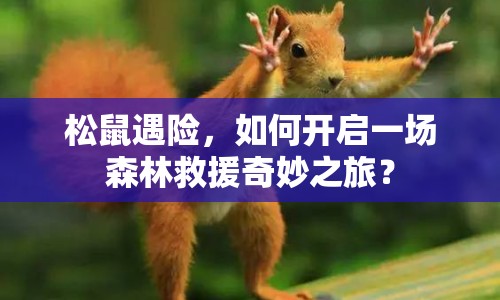 松鼠遇險(xiǎn)，如何開(kāi)啟一場(chǎng)森林救援奇妙之旅？
