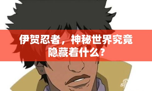 伊賀忍者，神秘世界究竟隱藏著什么？