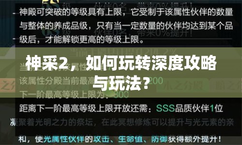 神采2，如何玩轉(zhuǎn)深度攻略與玩法？