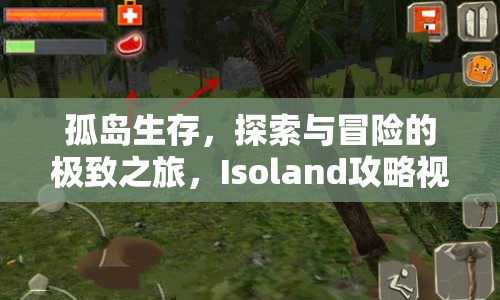 孤島生存，探索與冒險的極致之旅，Isoland攻略視頻全解析，你準備好了嗎？