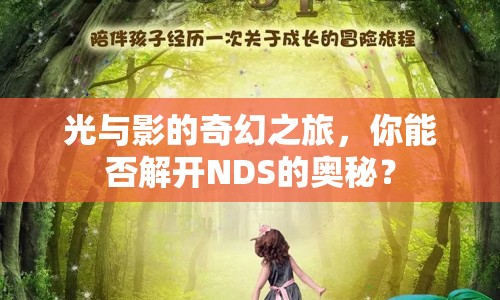 光與影的奇幻之旅，你能否解開NDS的奧秘？