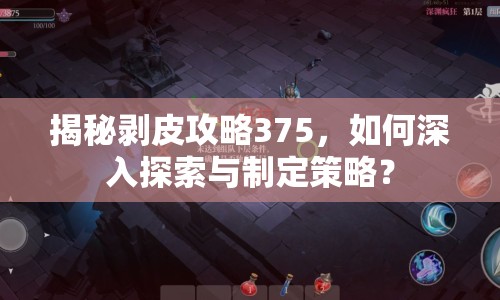 揭秘剝皮攻略375，如何深入探索與制定策略？