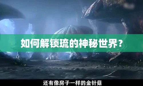 如何解鎖琉的神秘世界？