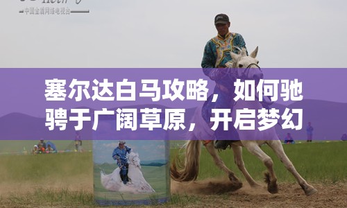 塞爾達(dá)白馬攻略，如何馳騁于廣闊草原，開啟夢幻之旅？
