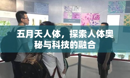 五月天人體，探索人體奧秘與科技的融合