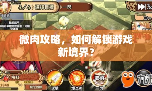 微肉攻略，如何解鎖游戲新境界？