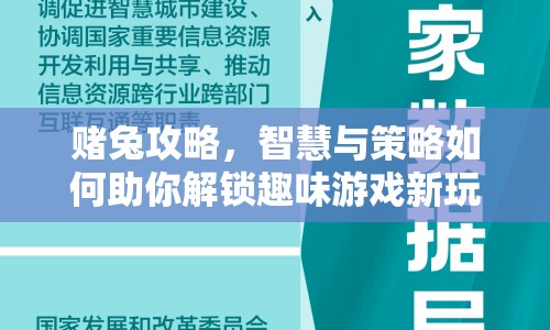 賭兔攻略，智慧與策略如何助你解鎖趣味游戲新玩法？