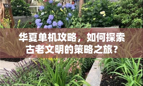 華夏單機攻略，如何探索古老文明的策略之旅？