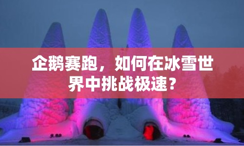 企鵝賽跑，如何在冰雪世界中挑戰(zhàn)極速？